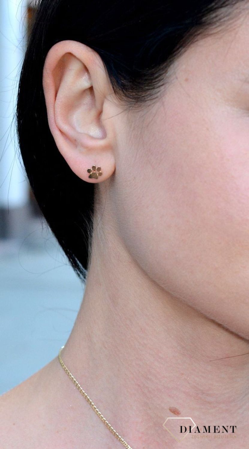 Złote kolczyki przy uchu 'Złota Łapka' KL 8015.jpg